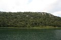 IMG_0888