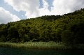IMG_0896