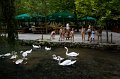 IMG_0904
