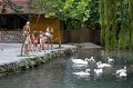 IMG_0905