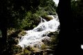 IMG_0927