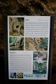 IMG_0937