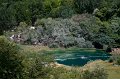 IMG_0950