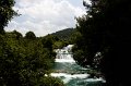 IMG_0954