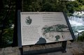 IMG_0955