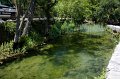 IMG_0966