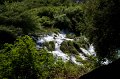 IMG_0969
