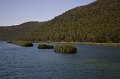 IMG_0981