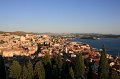 IMG_1031