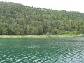 IMG_9217