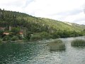 IMG_9225