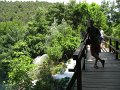 IMG_9284