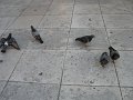 IMG_9312