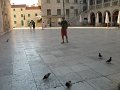 IMG_9313