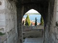 IMG_9335