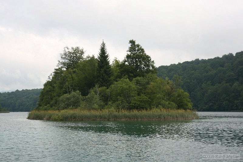 IMG_0084.jpg