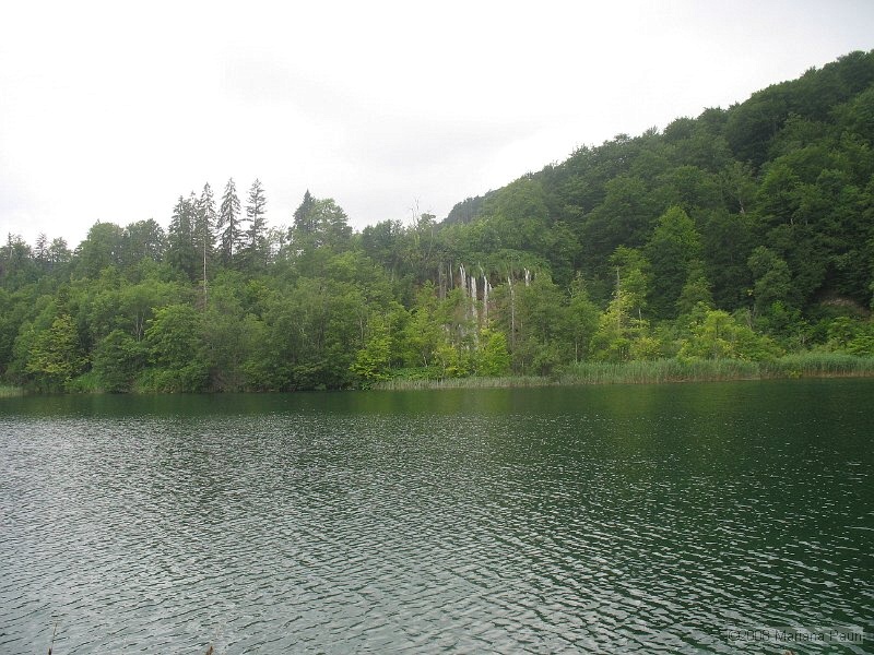 IMG_8266.jpg