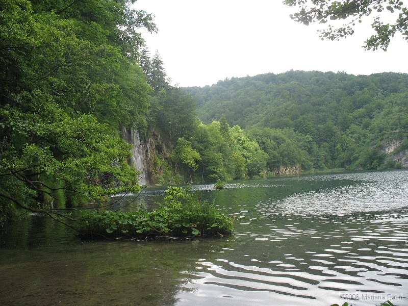 IMG_8304.jpg