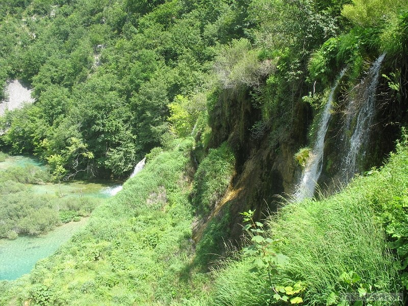 IMG_8379.jpg