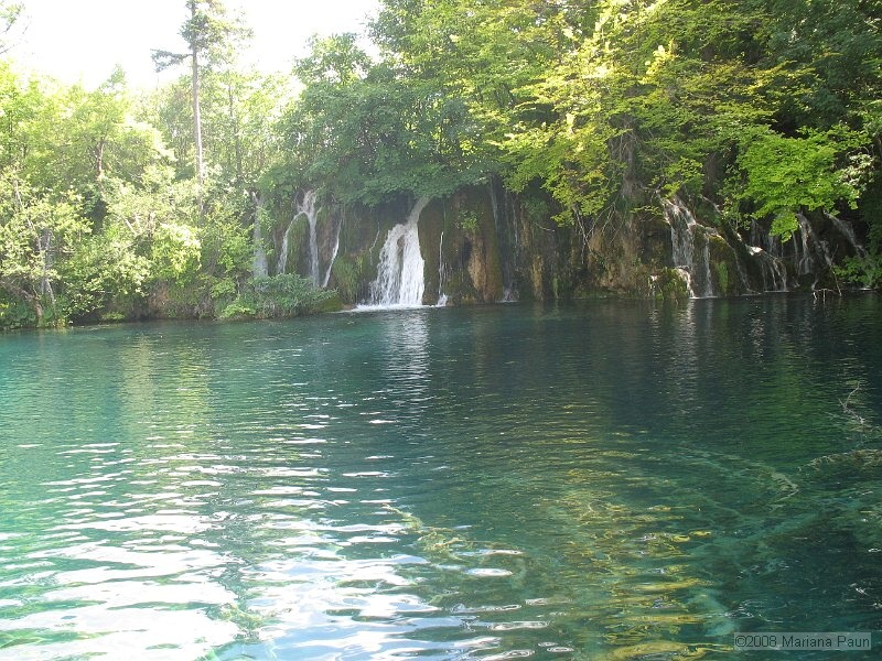 IMG_8437.jpg