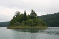 IMG_0084