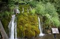 IMG_0088