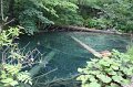 IMG_0089