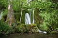 IMG_0093