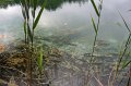 IMG_0110