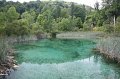 IMG_0128