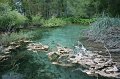 IMG_0129