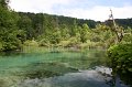 IMG_0141