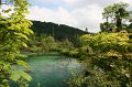 IMG_0142