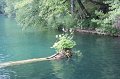 IMG_0151
