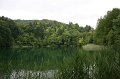 IMG_0156