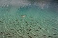 IMG_0159