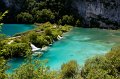 IMG_0235