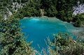 IMG_0245
