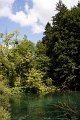IMG_0264