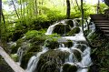 IMG_0285