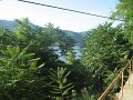 IMG_8223