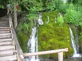 IMG_8236