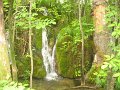 IMG_8239
