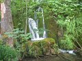 IMG_8240