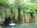 IMG_8246