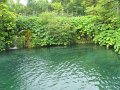 IMG_8251