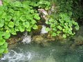 IMG_8252