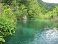IMG_8253