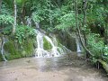 IMG_8303