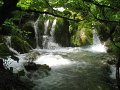 IMG_8322